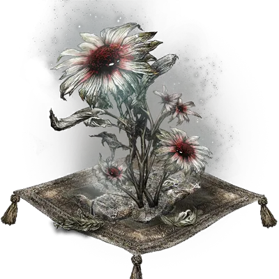 Fleur de sang-froid épanouie