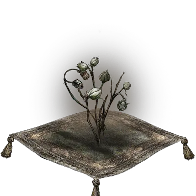 Bourgeon de fleur de sang-froid