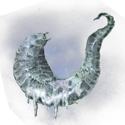 Carapace de fantasme vide