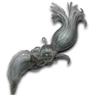 Parasite de Kos
