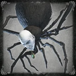 Pat l’Araignée