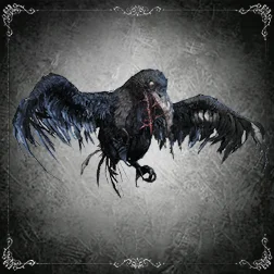 Le corbeau qui laisse passer