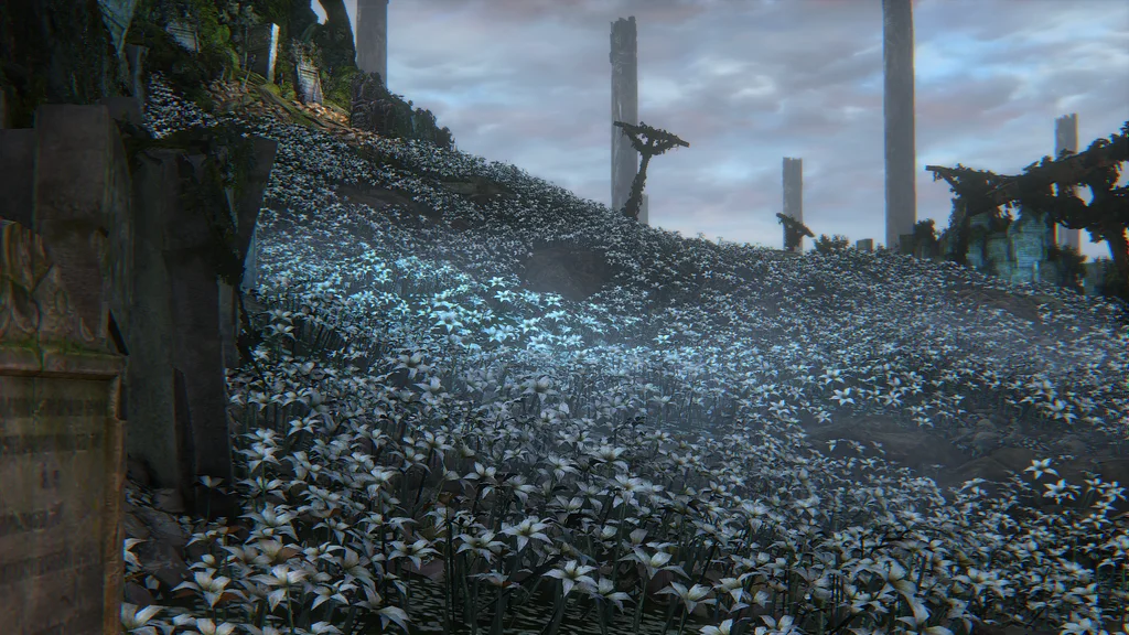 Les fleurs répondent à la lune et à la caméra