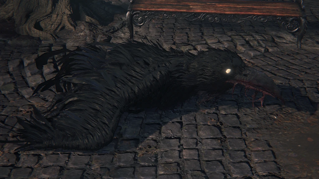 Corbeau charognard