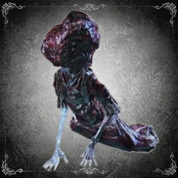 Patient du cadran astral (Bondissant)