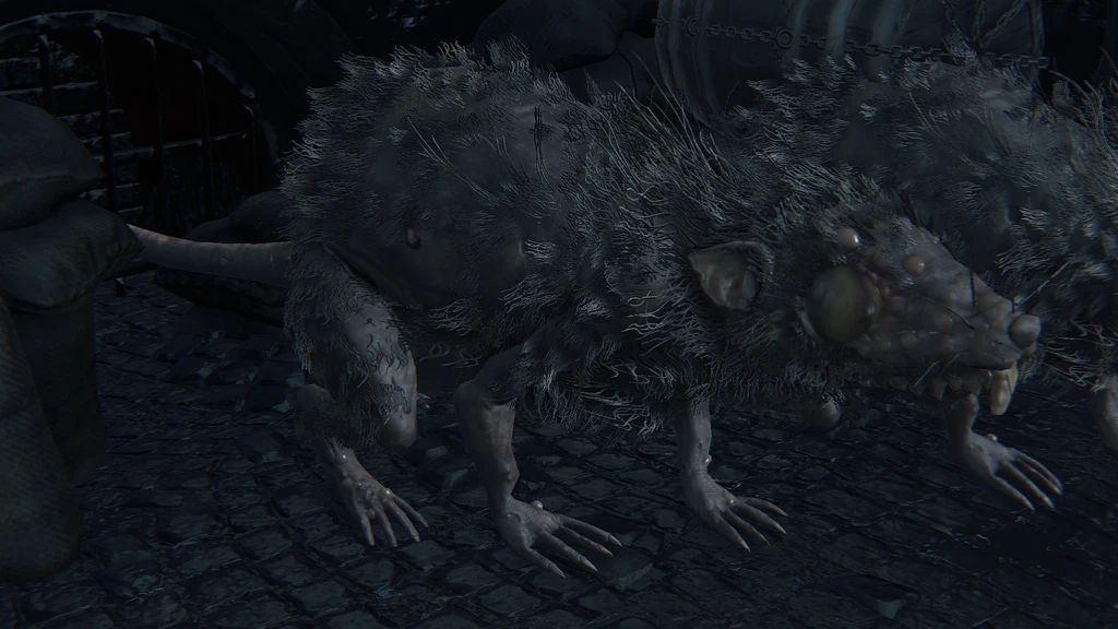 Rat du labyrinthe