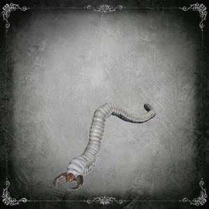 Larve parasite