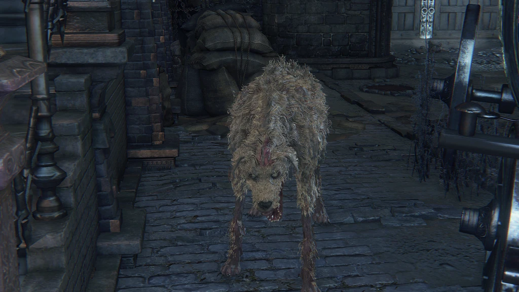 Chien enragé